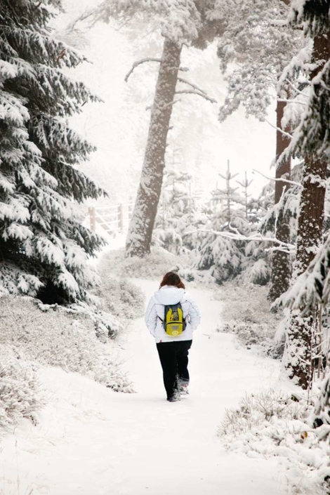 St_Régis_du_Coin©Loire_Tourisme (5) Promenade dans la neige en hiver Parc Naturel du Pilat à 1h de Lyon