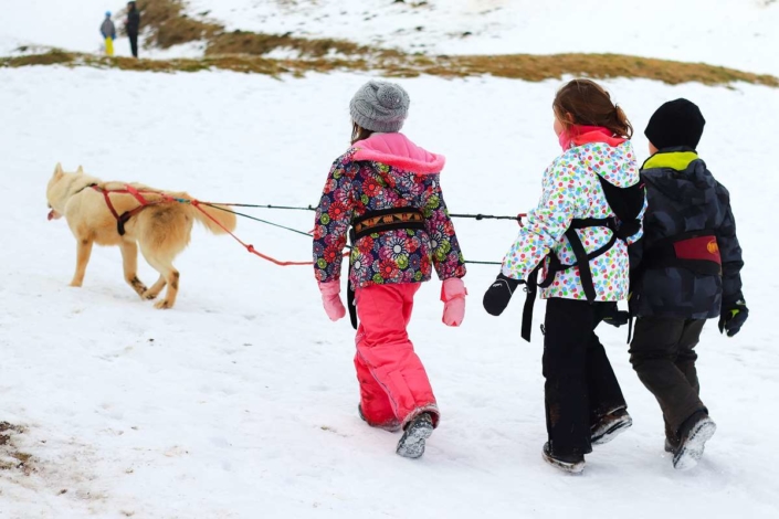 kimudjuk_JMonaOTPilat (2) Cani-cross - Cani-rando kimudjuk balade en famille ou entre amis accompagnée avec des chiens de meute à St Régis du Coin - Pilat