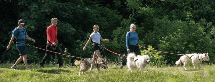 Kimudjuk activité en famille avec les enfants Pilat Kimudjuk activité en famille avec les enfants Pilat